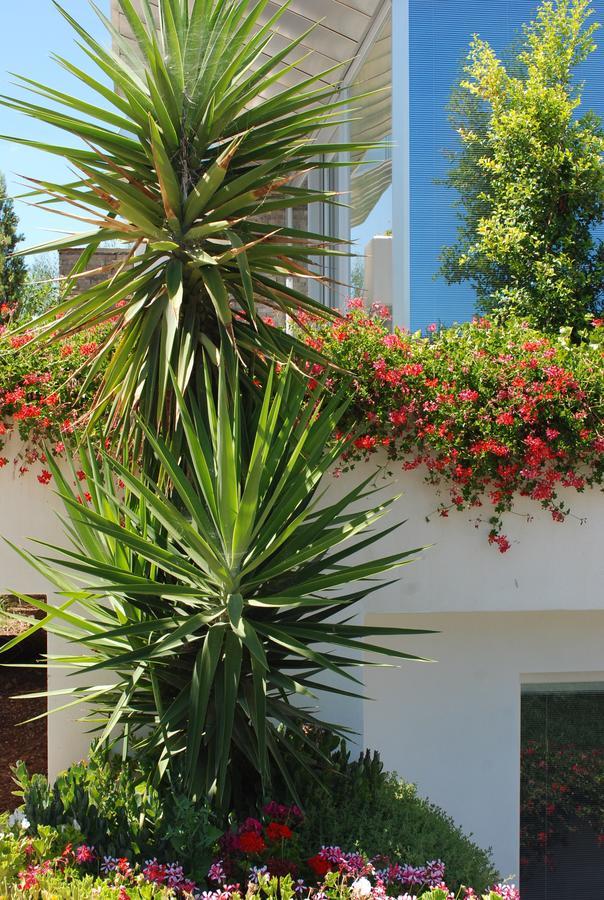 Hotel Torre Santamaria Resort ماتيناتا المظهر الخارجي الصورة