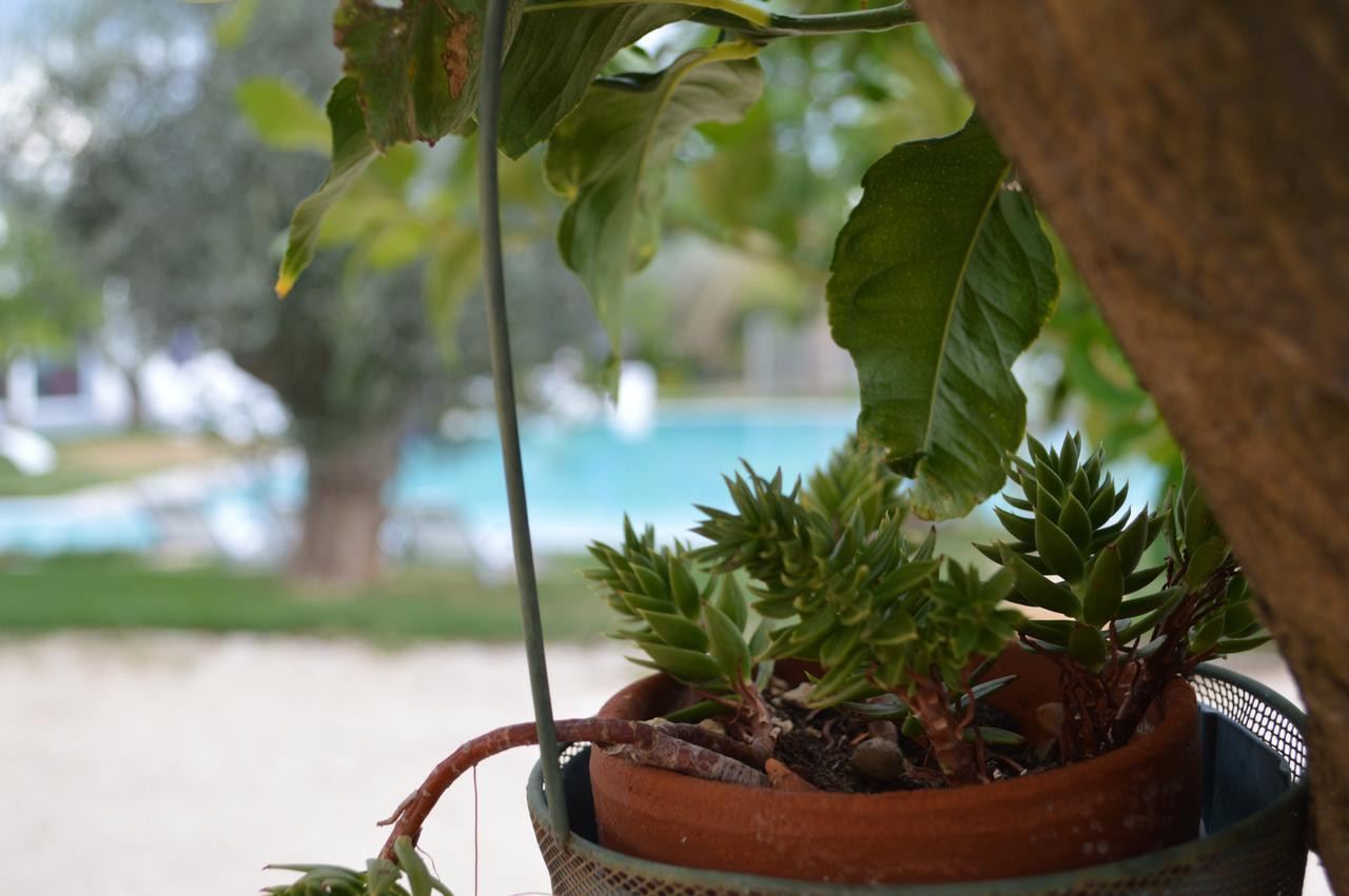 Hotel Torre Santamaria Resort ماتيناتا المظهر الخارجي الصورة